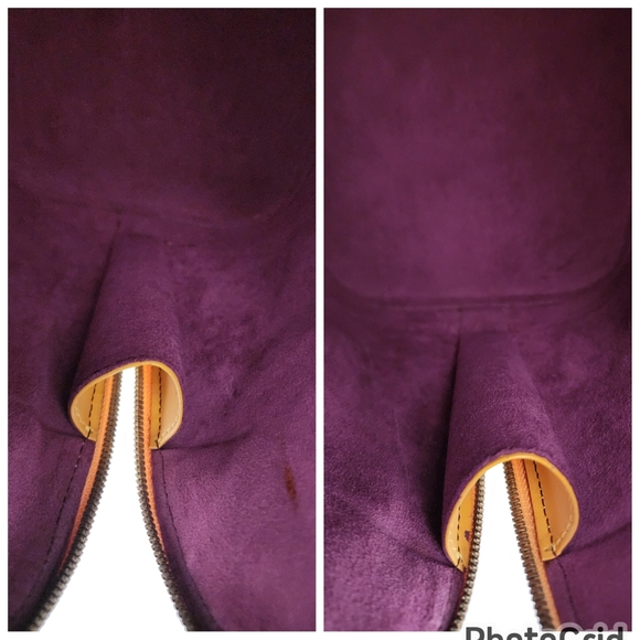 Auth Louis Vuitton Epi Alma Leather Bag - Picture 5 of 10